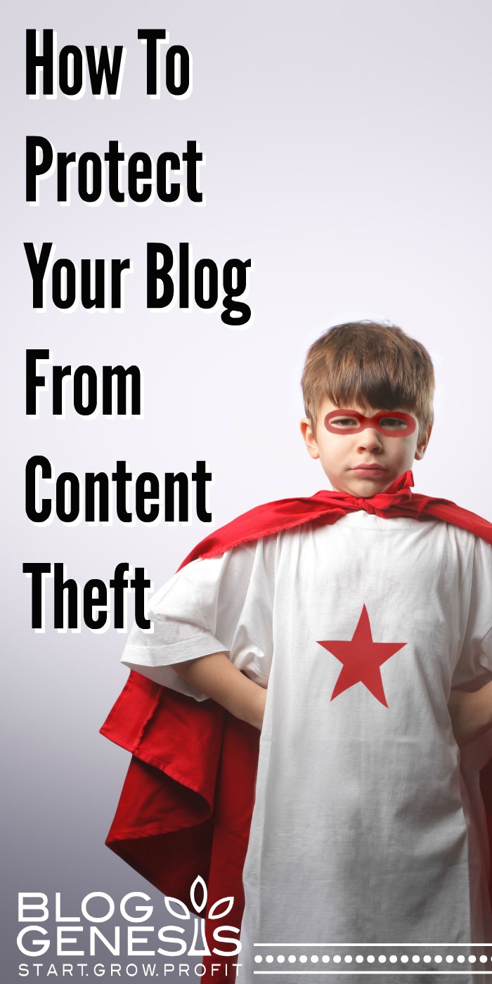 How To Protect Your Blog From Content Theft