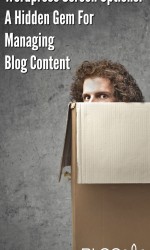 WP Screen Options:  A Hidden Gem For Managing Blog Content
