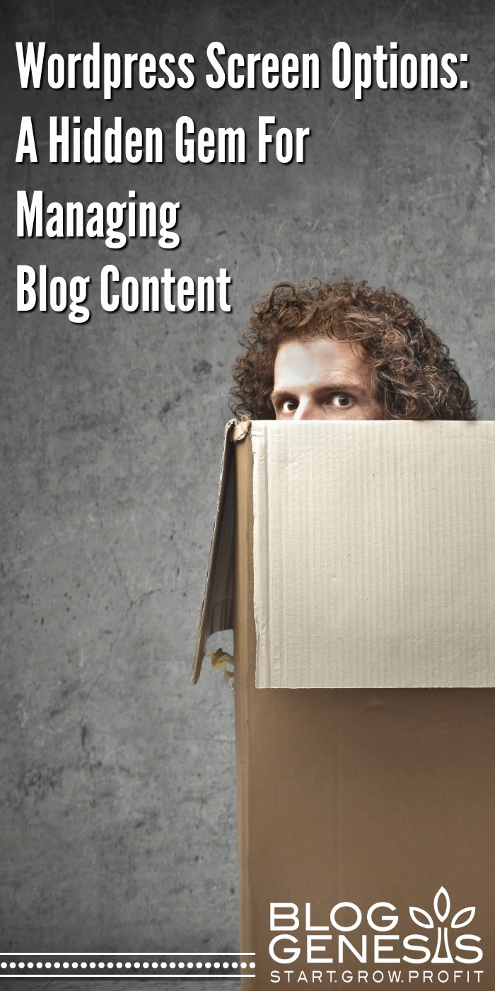 WP Screen Options:  A Hidden Gem For Managing Blog Content