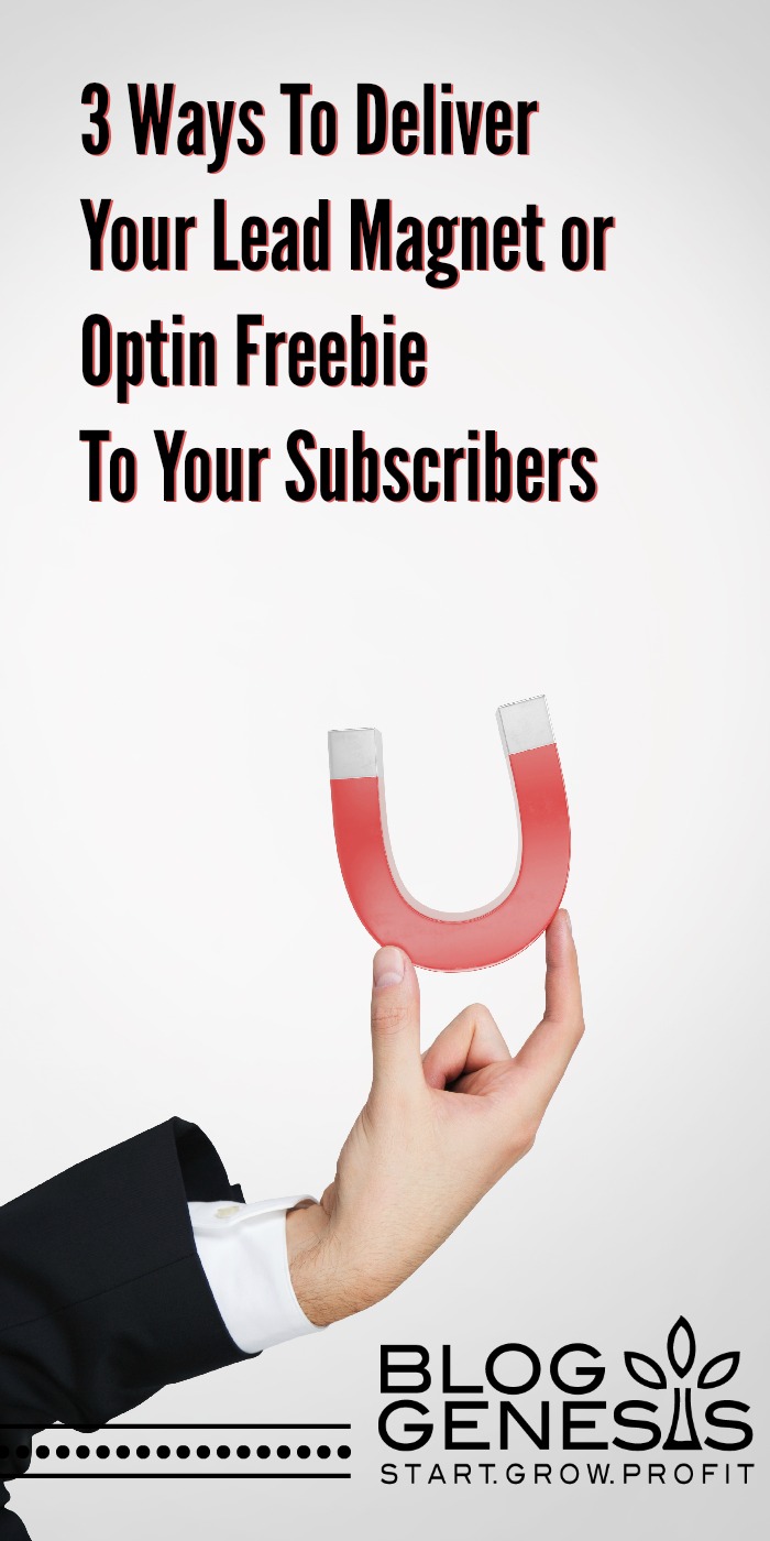 3 Ways To Deliver Your Lead Magnet or Optin Freebie To Your Subscribers